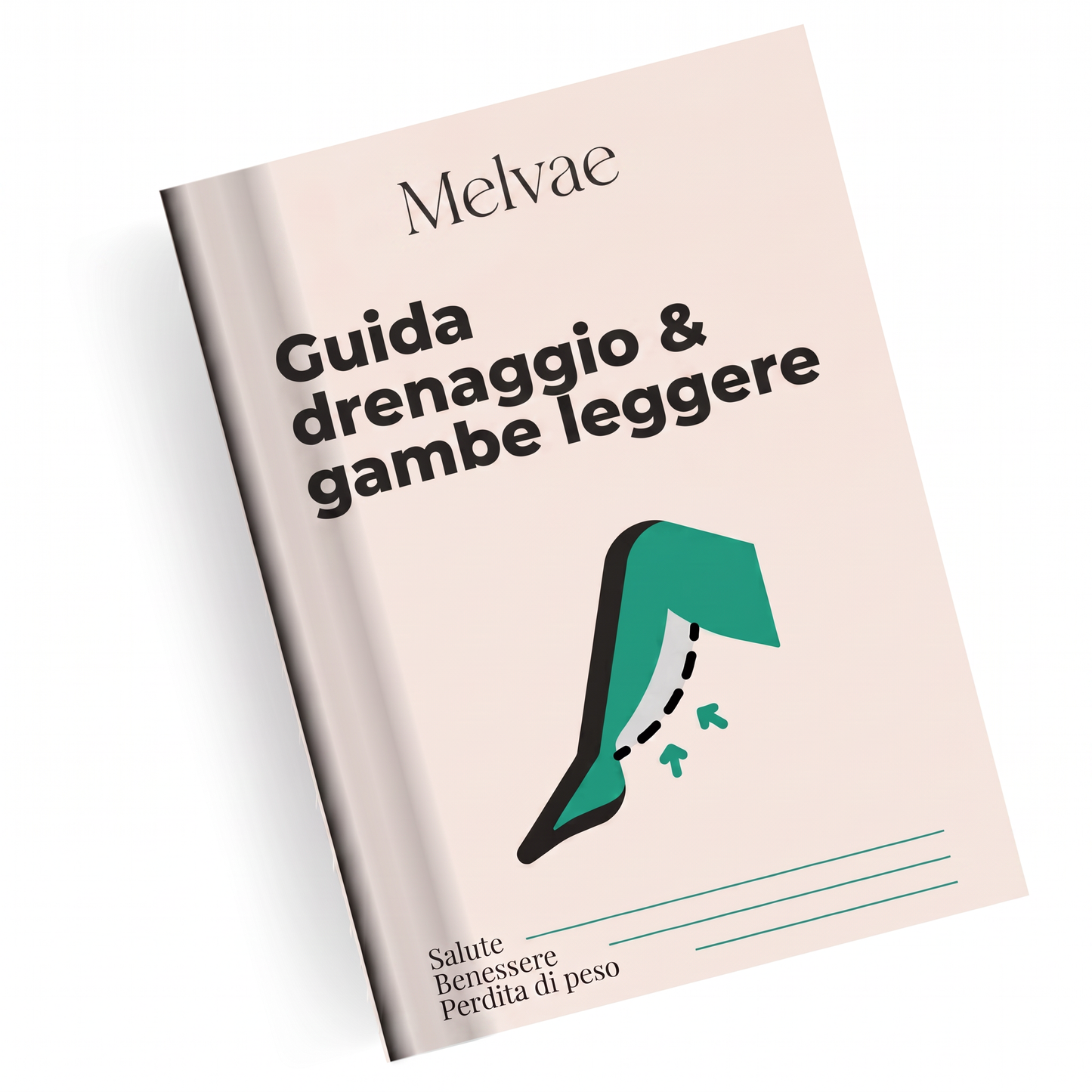 Guida Drenaggio Melvae